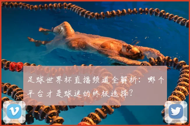 足球世界杯直播频道全解析：哪个平台才是球迷的终极选择？